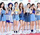 [BZ포토] 소나무, 보기만 해도 시원해~
