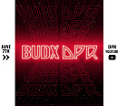 버드와이저, 뮤지션 DPR 크루와 온택트 공연 ‘BUDX DPR’ 개최