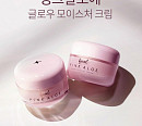 '핑크알로에 스타터 패키지', 캐시워크 돈버는퀴즈 정답 공개