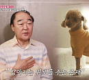 장광 아내 전성애, 나이 70세 남편의 지나친 반려견 사랑에 속앓이…"제주도 한달살이 가겠다" 통보