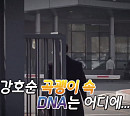 강호순 사건 수사백서ㆍ통화 녹취, 최초 공개…곡괭이 속 DNA 진실은?(탐사보도 세븐)
