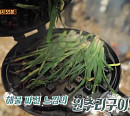 홍현희 와플팬 요리에 오마이걸 승희도 인정 "원추리 구이, 진짜 감자 맛 나요"(정글의 법칙)