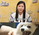 스피츠 밍키, 경계심 낮추는 훈련 진행(개는 훌륭하다)