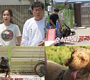 로트와일러 하트, 독일 베젠테스트 진행…하트의 공격 스위치는?(개는 훌륭하다)