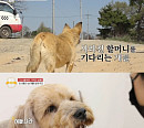 '류수영의 동물티비'의 의미 있는 한 달…안방 사로잡은 에피소드 BEST 3