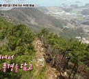 '바퀴달린집' 촬영지 하동 천년 녹차 밭, 윤아ㆍ김병철 반하게 한 집라인