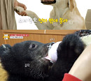 '류수영의 동물티비', 매력만점 '견공주님'→인형 같은 반달곰까지…반려동물과의 행복한 라이프 '훈훈'