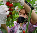 크레용팝 초아, 나이 85세 예산 큰이모와 추억 만들기(6시 내고향)