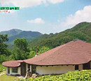 가죽공예가 이기성 씨가 직접 지은 단양 숲속 돌집(건축탐구 집)