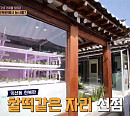 익선동 수경재배 식당, 도시 한복판에서 농사 지은 채소로 만든 샐러드…진짜or가짜?