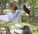 '순간포착' 서울 천호공원 명물 '까순이', 국내 최초 영재 까마귀의 탄생