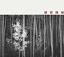 뮤지션 신해경, 첫 신보 '감정둔마' 발매