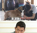 페터데일테리어X라이카 믹스견, 강형욱 "워킹독 교육을잘 못하면 아주 무서운 개 될 수 있다”(개는 훌륭하다)