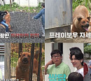 로트와일러X말리누아 믹스견 사랑이…강형욱, "담대한 강단 필요"(개는 훌륭하다)