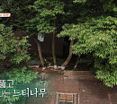 평택 채석장→느티나무집, 자연 존중하는 집(건축탐구 집)