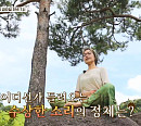 정덕희 나이 66세에 전하는 행복한 삶(순간의 선택 골든타임)