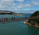 울산 대왕암 공원 출렁다리 회 센터ㆍ활문어 왕꼬막ㆍ수제 펫 푸드 카페(관찰카메라 24)