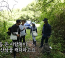 박군(박준우)ㆍ이상민ㆍ김준호ㆍ김연자, 나이 평균 48.7세 '미운우리새끼' 촬영지 산 '삼 원정대' 결성…3억 산삼 찾아서