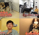 강형욱, "요크셔테리어 겨울이, 성장기 교육 제대로 못 받은 것 같아"(개는 훌륭하다)