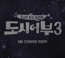 채널A 편성표, '도시어부 시즌3' 결방→재방송 편성…일부 제작진 코로나19 확진 여파