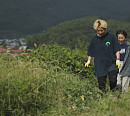 남해 당항 마을 촌집 한달살이(한국기행)