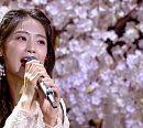 강진&김효선ㆍ진성ㆍ테이ㆍ배다해&박규원&기세중ㆍ홍자ㆍ에일리ㆍ크레용팝 소율ㆍ솔라 등 나이ㆍ세대 불문 '남국인&故 정은이' 국민 애창곡 열창