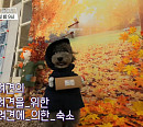 인천 바다 멍멍 리조트ㆍ서울 5성급 펫 동반 호텔ㆍ가평 풀레이 애견 펜션ㆍ홍천 개편한 리조트, 펫캉스 위한 '구해줘 숙소'