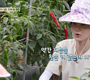 신현빈, 나이 2세 차이 유연석과 '슬기로운 산촌생활' 촬영지서 재회