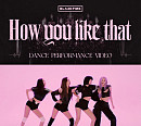 블랙핑크, ‘How You Like That’ 안무 영상 9억뷰 돌파 '독보적 행보'