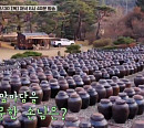 정해인, 나이 17세 차이 김희원 초대에 '바퀴달린집3' 촬영지 영주 솔숲 장독 마당 방문