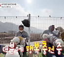 '반려견 유치원' 운영 캐나다 제이슨&베일리의 일상(이웃집 찰스)