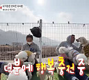 '이웃집찰스' 제이슨 부부의 반려견 유치원ㆍ유기견 사랑