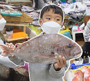 '순간포착' 거제 고현시장 8살 생선 박사, 생선 회도 척척
