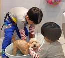 신현준 자녀 인생 첫 용돈 벌기…집 설거지ㆍ애견 목욕시키기 도전 "이제 마트 안갈래요"
