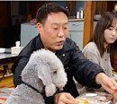 최은호 피플스토리 대표, 반려견 젬마 위한 고급 도시락+반려견 유치원 소개