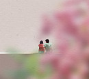 포맨, 27일 미니 2집 '멜로를 좋아해' 발매