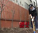 키, '나혼자산다' 촬영지 양재동 꽃시장 방문→명이나물 재배ㆍ달래 솥밥ㆍ달래전ㆍ된장찌개 요리