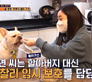 '식스센스 시즌3', '펫 신탁' 8억대 상속 받은 프렌치 불도그(불독)…진짜? 가짜?