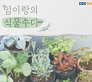 디어클라우드 임이랑, 라디오 DJ 컴백…EBS ‘임이랑의 식물수다 시즌2’ 기대감 UP