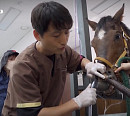 '마의' 천용우 수의사ㆍ고양이 양치법ㆍ심장 멈춘 코니(심장이 뛴다 38.5)