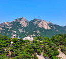 도심 속 푸른 보물 북한산 국립공원(영상앨범 산)