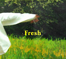 콜드, 뷰티 브랜드와 특급 컬래버 성사…21일 신곡 'Fresh' 발매