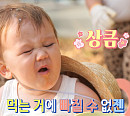 '슈돌' 사유리&젠 파주 귤따기 농장 트램폴린 체험…빅베이비 수박ㆍ주스ㆍ라면ㆍ피자 슈퍼 먹방