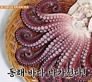 김지민 식객 허영만과 백반기행…광어 물회ㆍ막국수ㆍ고기집ㆍ문어숙회 등 동해&속초 맛집 찾아간다