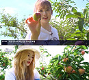 ‘6시 내고향’ 스테이씨, CF 같은 자두 먹방 '상큼 에너지' 선사