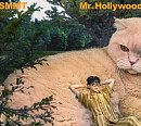 SMMT(써밋), 31일 첫 EP 'Mr. Hollywood' 발매