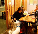 평창 수제 맥주 양조장 운영하는 캐나다 레스 부부와 반려견의 행복한 일상(동물극장 단짝)