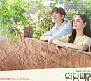 MBC 편성표, '일당백집사'ㆍ'심야괴담회' 결방 결정…이태원 참사 국가애도기간 동참