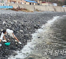 김종민, 울릉도 바다 미꾸라지(베도라치 새끼) 잡이 체험…딘딘 관음도 관광