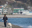 '동물극장 단짝' 청도 장육산 산사나이와 반려견 ‘흰둥이’의 행복한 산골 생활